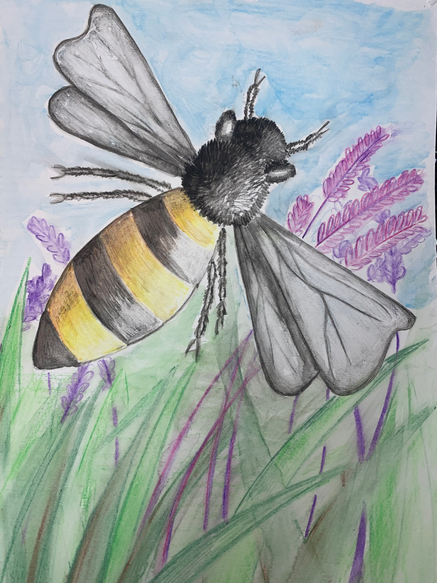 Creative Drawing & Mixed Media (Ages 7–13)
